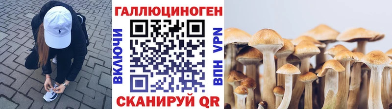 где можно купить   Михайловск  Галлюциногенные грибы ЛСД 
